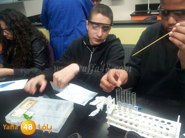 shamela 3omlom (11).jpg